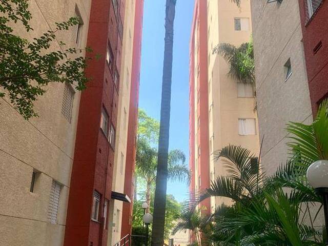 Apartamento para Venda em São Paulo - 5